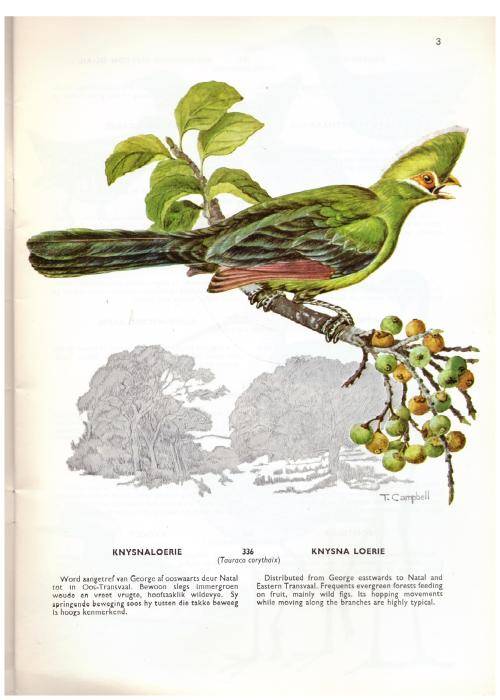 Voëls van die Krugerwildtuin en ander nasionale parke: Vol 1-4