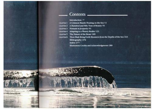 Whales  --  Jacques Cousteau, Yves Paccalet