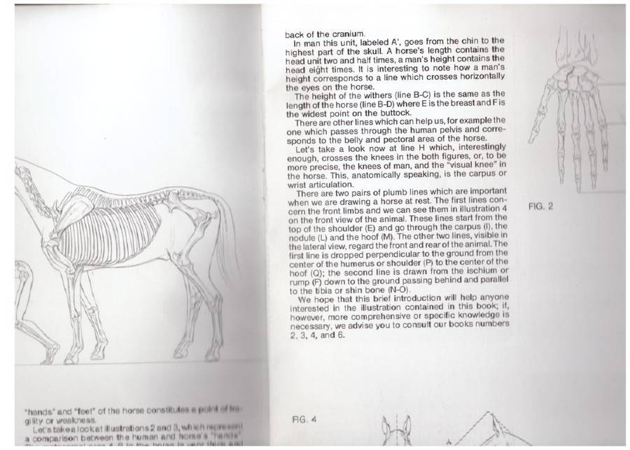 Let us paint Horse and Man (Leonardo Collection #11)