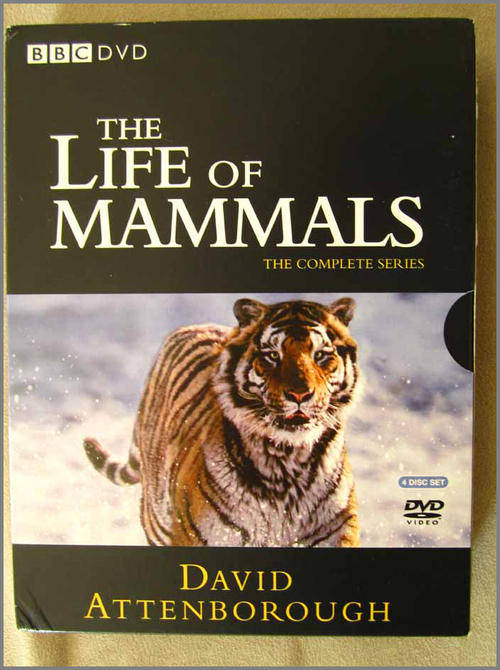 BBC Wildlife DVD Boxset Life of Mammals