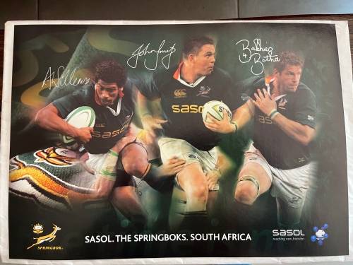 Set of 10 Springbok Rugby Posters (Each one 29,5cm * 42cm)