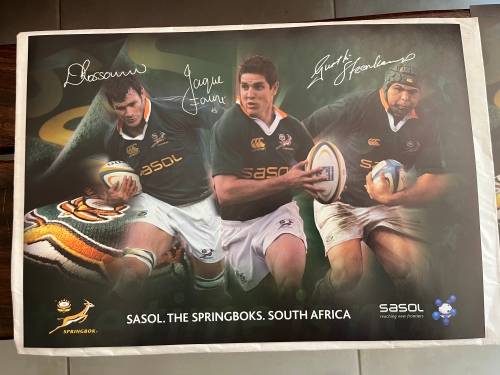 Set of 10 Springbok Rugby Posters (Each one 29,5cm * 42cm)