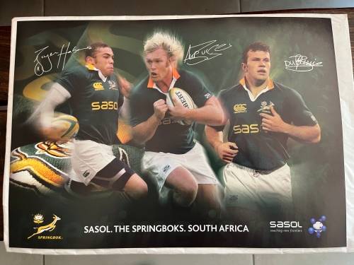 Set of 10 Springbok Rugby Posters (Each one 29,5cm * 42cm)