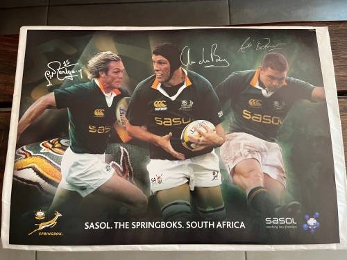 Set of 10 Springbok Rugby Posters (Each one 29,5cm * 42cm)