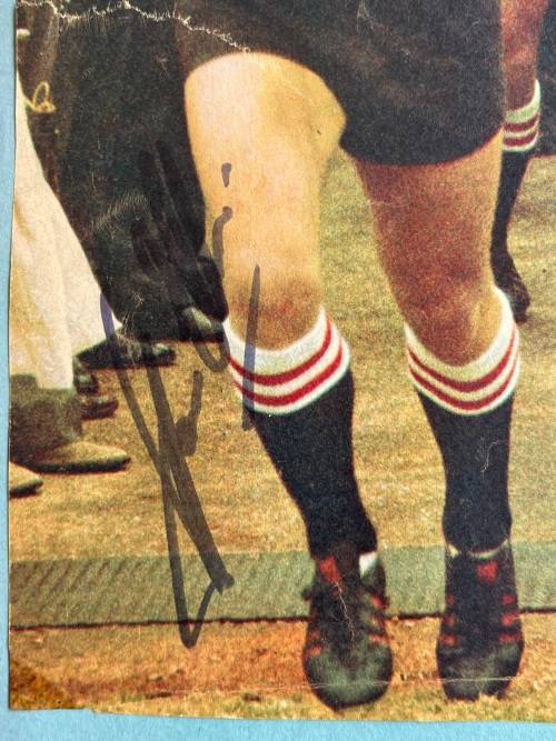 Jan Ellis **Signed**