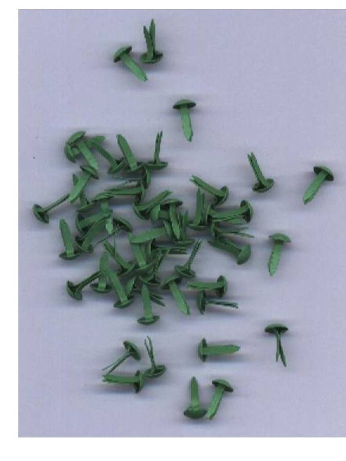 BRADS:  large round green - 30 per packet