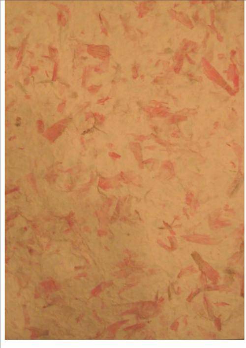 ORGANIC HANDMADE PAPER - cream colour paper infused with baby pink leaves and petals - size A4
