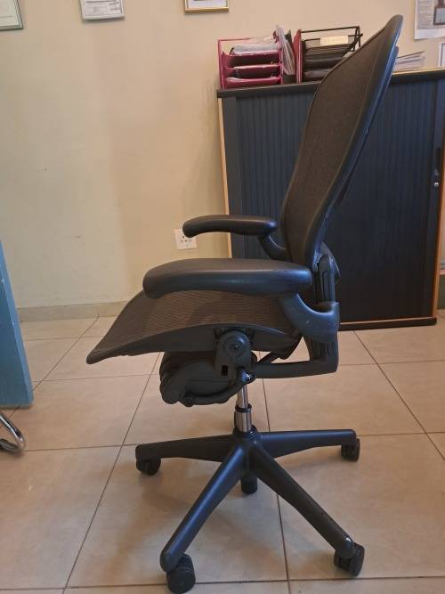 Ergonomic Herman Miller (B-size)