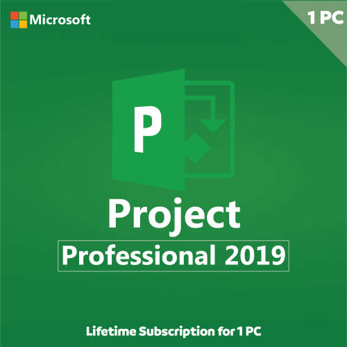 Microsoft Project 2019 Professional
