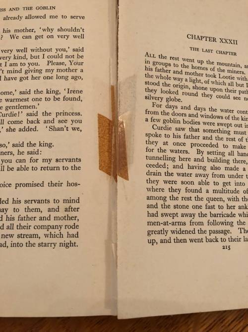 The Princess and the Goblin - George Macdonald