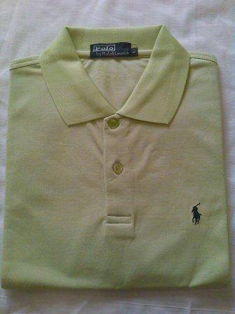 Polo Golf Shirt (Large)