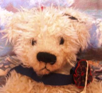 BEAUTIFUL COLLECTORS BEAR (KITTED OUT )