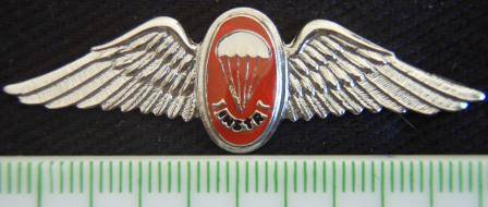 PARA Instructor Freefall Mess Dress