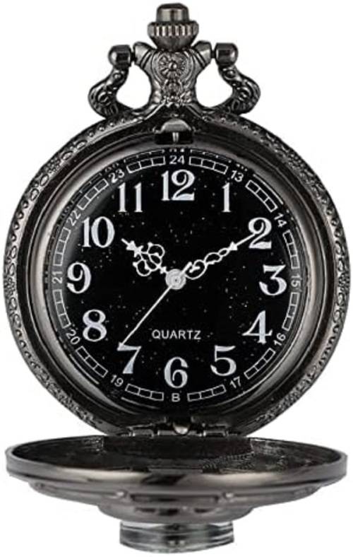 Stunning Steampunk Designer Case Compass Mechanical Pocket Watch