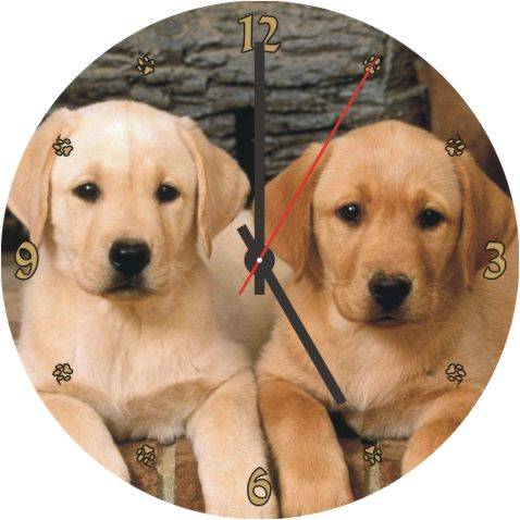Dog CD Clock