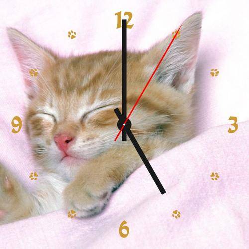 Cat Clock