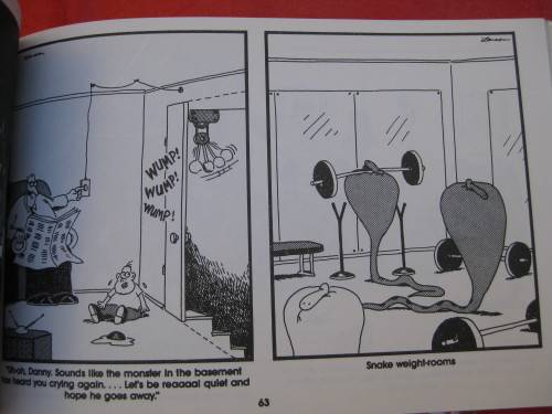 "The Far Side Observer"  Soft cover.  Gary Larson.