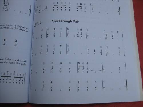 `Complete learn to play Harmonica Manual`  Soft cover.  2 CD`s.