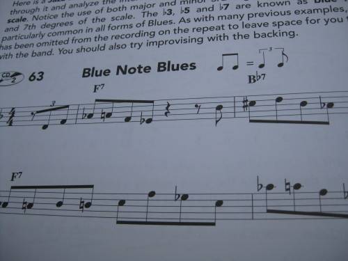 `Complete learn to play Harmonica Manual`  Soft cover.  2 CD`s.