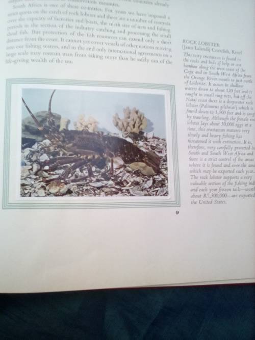 `South African Fish & Fishing`     Hard cover.