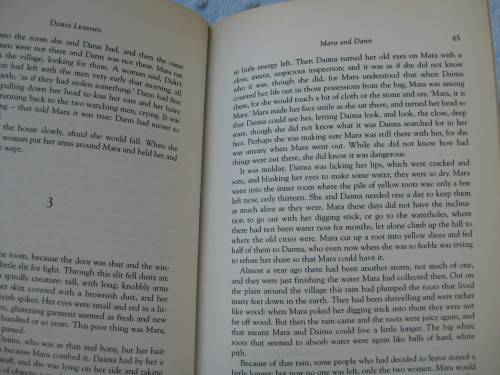 `Mara and Dann`  Doris Lessing.  Hard cover.