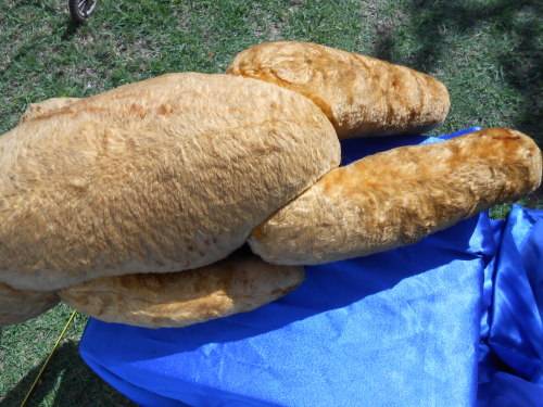 Retro, large (700mm high), straw-filled teddy bear with a small modern friend.