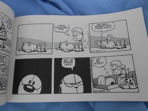 `Garfield hits the big time`  His 25th Book.  Jim Davis.  Soft cover.