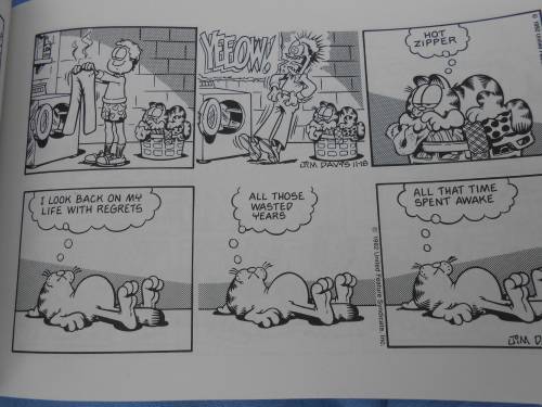 `Garfield hits the big time`  His 25th Book.  Jim Davis.  Soft cover.