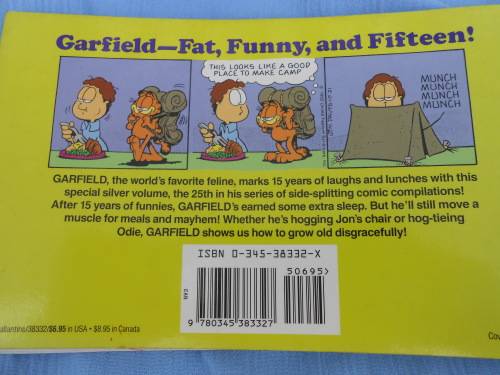 `Garfield hits the big time`  His 25th Book.  Jim Davis.  Soft cover.