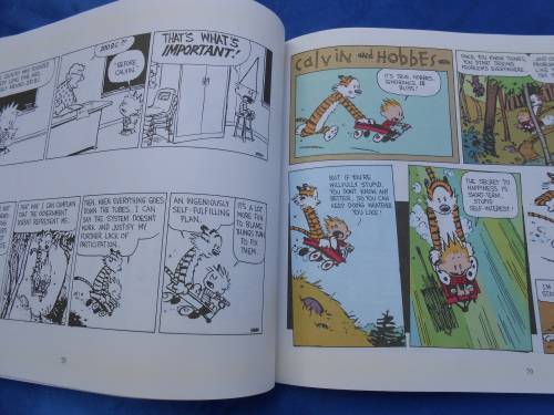 `The Days are Just Packed`  Calvin and Hobbes.  Soft cover.