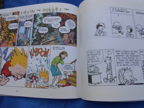 `The Days are Just Packed`  Calvin and Hobbes.  Soft cover.