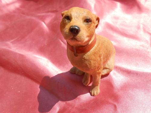 Dog.  Sherratt & Simpson.