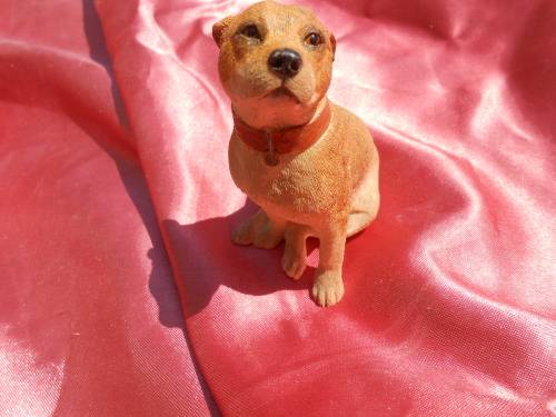 Dog.  Sherratt & Simpson.