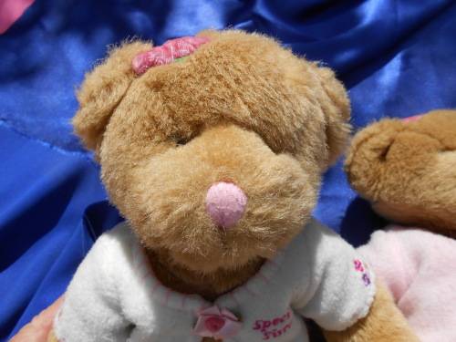 Russ.  Twin teddy bears.