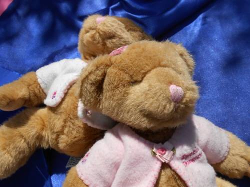 Russ.  Twin teddy bears.