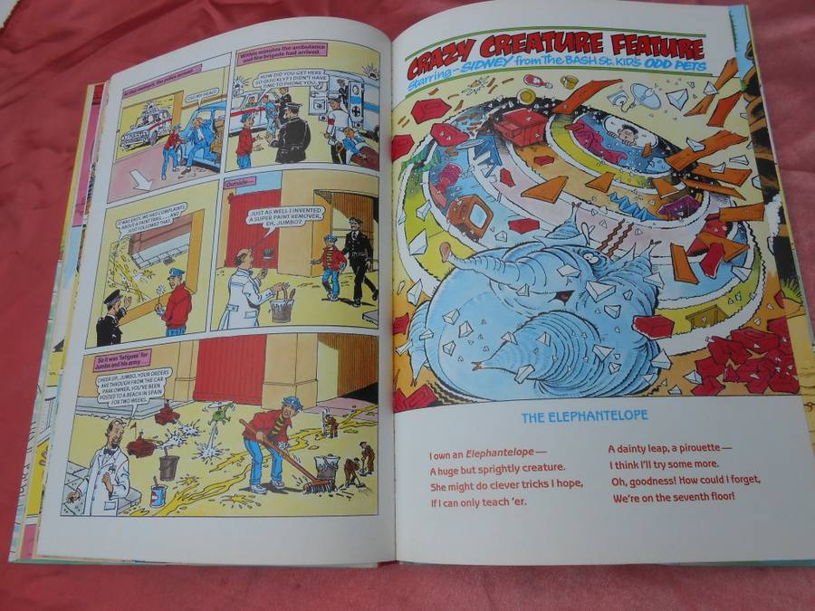`The Beano Book 1995`  Annual.  Hard cover.