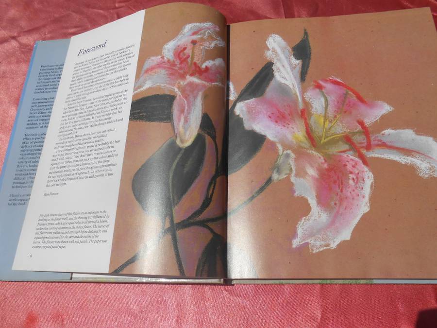 `Pastels`  Ron Ramson`s Painting School. Hard cover.