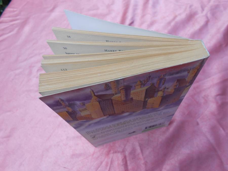 `Harry Potter and the Chamber of Secrets`  J.K. Rowling.  Soft cover.