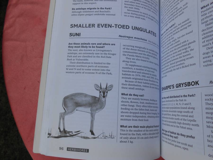 2014  `Kruger National Park Questions & Answers`  Soft cover.