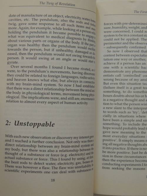 The Twig of Revelation - Understanding Paranormal and Normal Experiences - Harold Van Coller