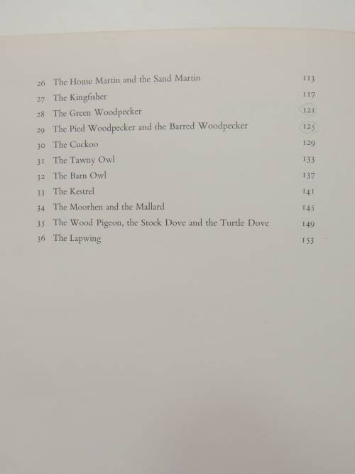 Birds of Town and Village - Paintings by Basil Ede, Text by WD Campbell