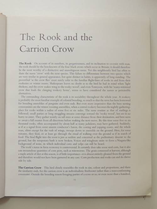 Birds of Town and Village - Paintings by Basil Ede, Text by WD Campbell