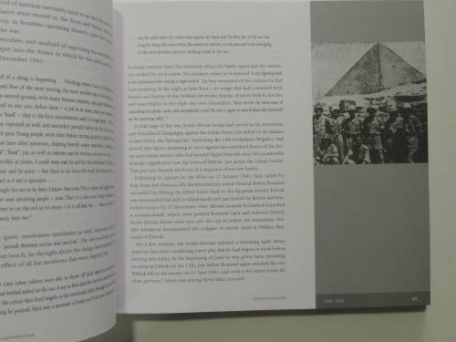 Alexis Preller. Africa, the Sun and the Shadows - Esme Berman