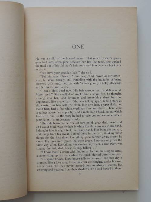 The Sorceress and the Gygnet - Patricia A McKillip