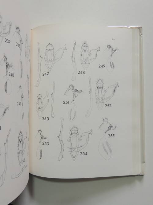 The Butterflies of Southern Africa, Part IV - G Van Son