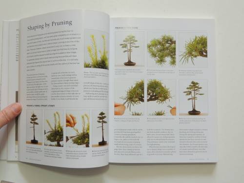 The Complete Encyclopedia of Bonsai - Step by Step Guide Bonsai- Ken Normn