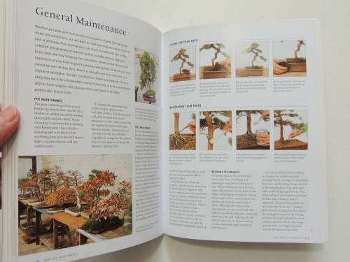 The Complete Encyclopedia of Bonsai - Step by Step Guide Bonsai- Ken Normn