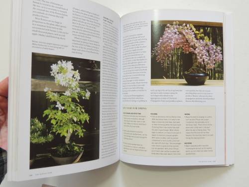The Complete Encyclopedia of Bonsai - Step by Step Guide Bonsai- Ken Normn