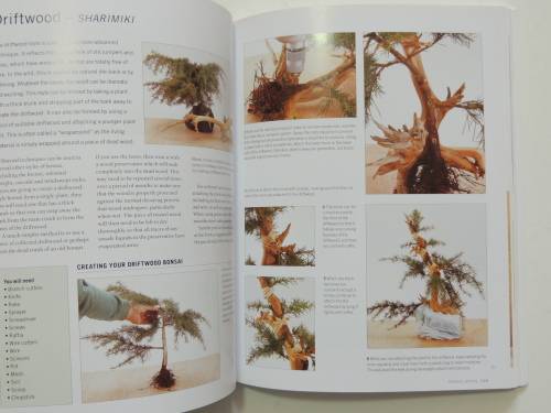 The Complete Encyclopedia of Bonsai - Step by Step Guide Bonsai- Ken Normn