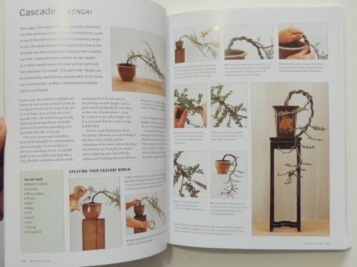 The Complete Encyclopedia of Bonsai - Step by Step Guide Bonsai- Ken Normn